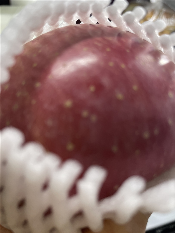 20260510054841545_image.jpg