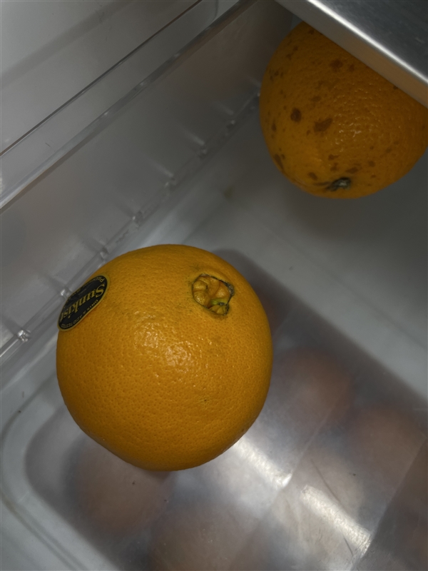 20260523092527366_image.jpg