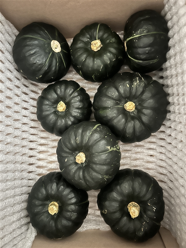 20260609031807315_31377.jpg
