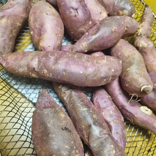 KakaoTalk_20241226_145258134.jpg