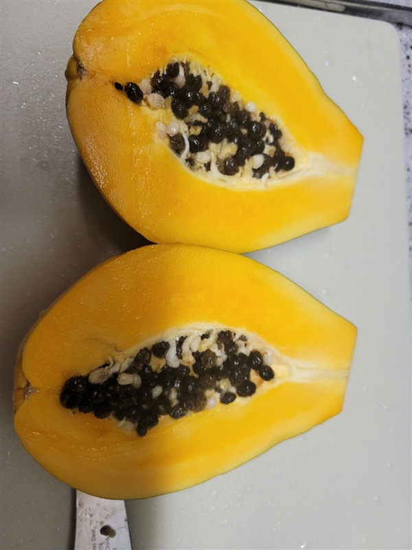 KakaoTalk_20250821_135155498.jpg
