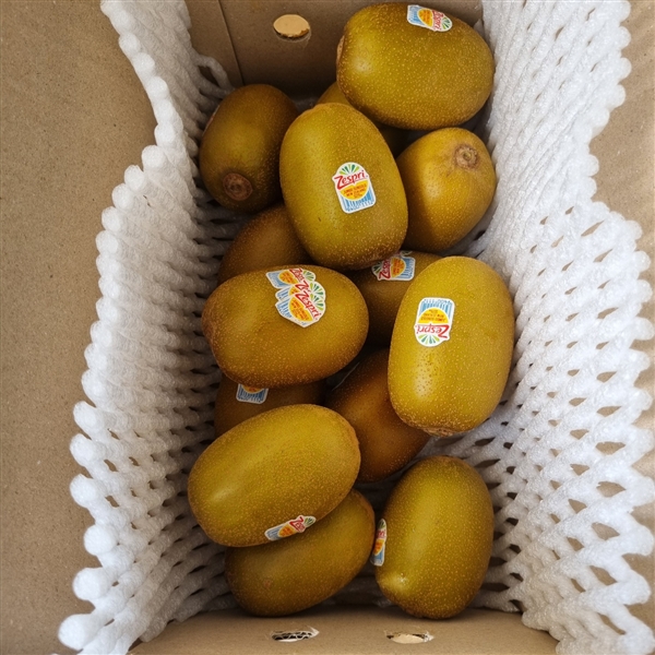 KakaoTalk_20260507_142846235_03.jpg