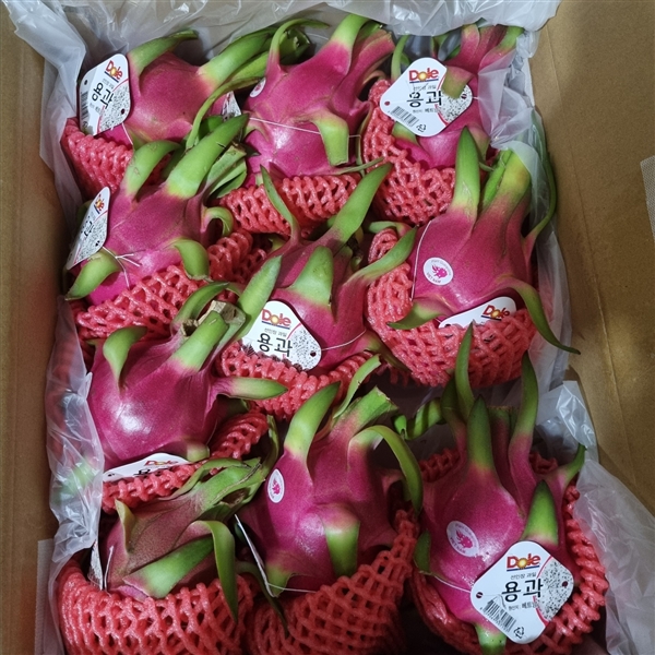 KakaoTalk_20260510_162124539.jpg