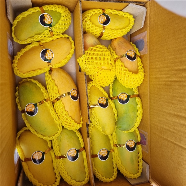 KakaoTalk_20260520_082612936_01.jpg