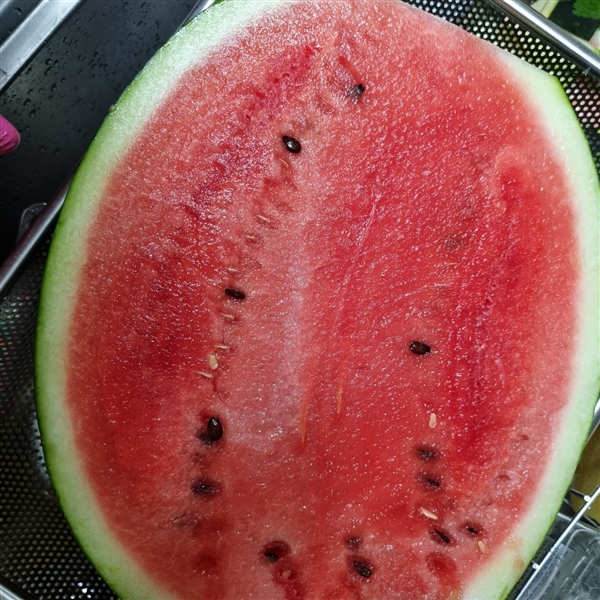 KakaoTalk_20260602_174404582.jpg