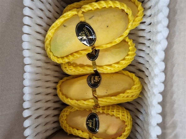 KakaoTalk_20260620_124713351.jpg